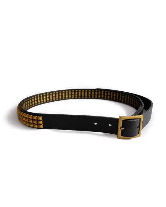 GARRISON STUDS BELT “Physicist and Sun”